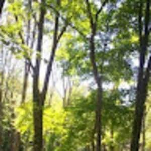 Meet your Posher, Lydia